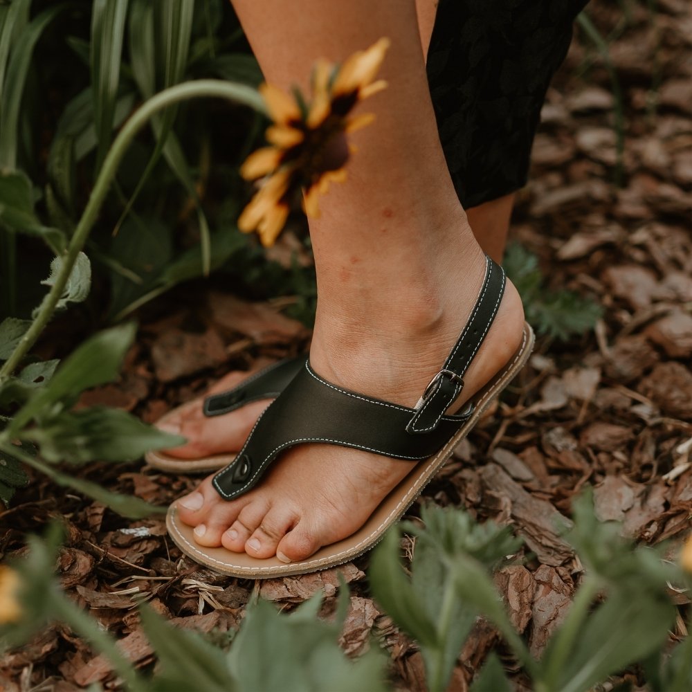 Black leather Be Lenka Promenade thong-style sandals with a thinner sling-back strap and a tan footbed and rubber soles. Both shoes are shown facing left on a tan woman's feet standing in a mulched garden. #color_black