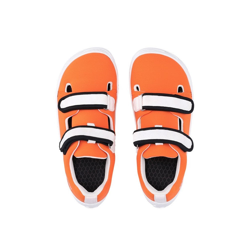 Photo 1 - A photo Be Lenka Kids Seasiders summer sandal sneakers in orange with white soles. Shoes are made of neoprene with two velcro straps. Straps are white with black edging, resembling a clown fish. The tongue does not quite touch the side of the shoe, leaving some breathable holes for summer time. Right shoe is shown from the right side against a white background. Photo 2 - Both shoes are shown from the top down against a white background. #color_orangy