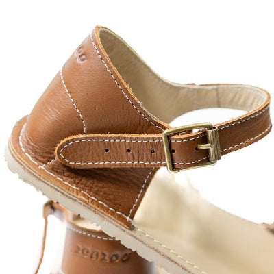 Brown Zeezoo Siren leather Sandals. The sandals have a front foot strap, a leather ankle strap, and a heel cup. Right shoe closure is shown close up facing right stacked on the left shoe against a white background. #color_brown