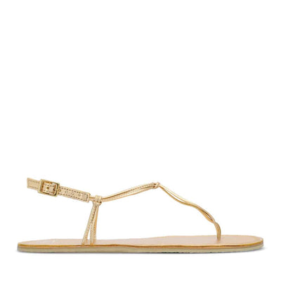 Photo 1 - A photo Groundies Amalfi sandals in gold. The sandals are composed of thin straps. A thong strap extends from the toes to a delicate buckle closure ankle strap which is anchored to the sole by thin straps on both sides. Right shoe is shown from the right side against a white background. Photo 2 - Left shoe is shown from the top down against a white background. #color_gold