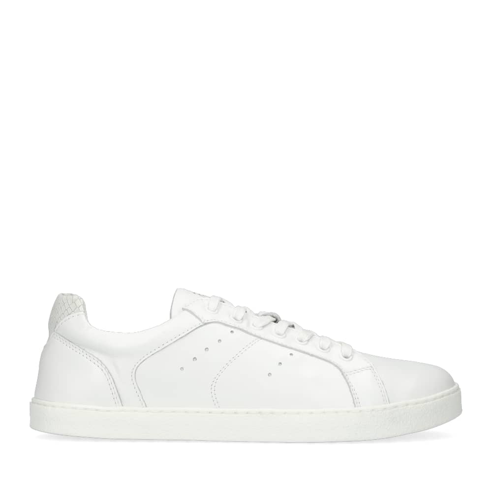 Photo 1 - A photo of white Groundies Universe sneakers in white made of leather with classic sneaker details and a snake detailing at the heel. Right shoe is shown from the right side against a white background. Photo 2 -  Right shoe is shown from the top down against a white background. #color_snake
